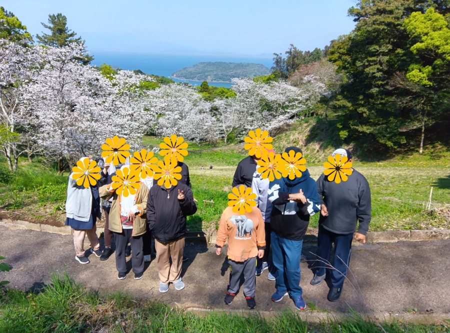 花見web.jpg